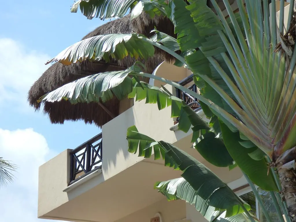 Hotel Riviera Del Sol Riviera Maya
