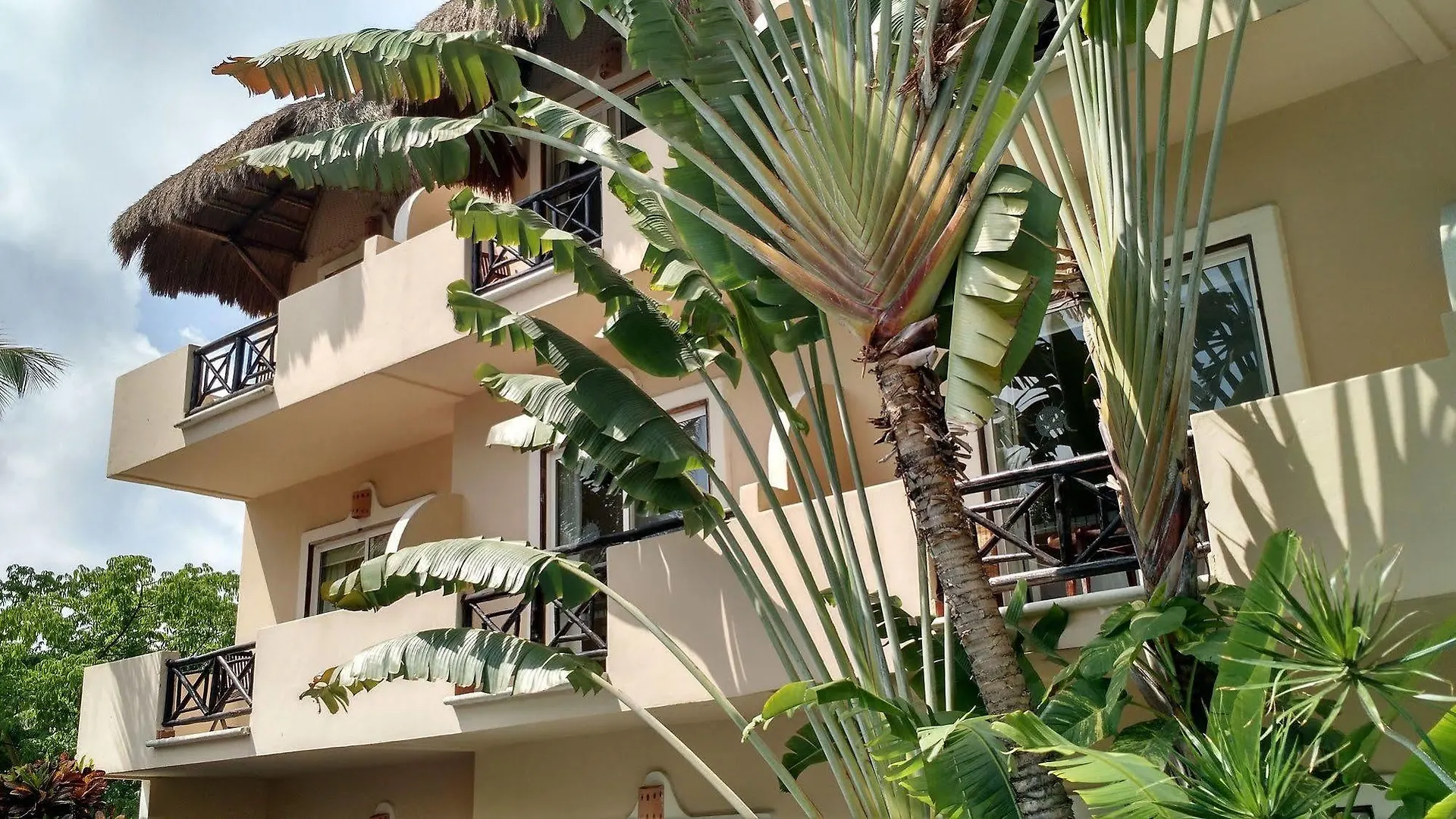Hotel Riviera Del Sol Riviera Maya Mexico